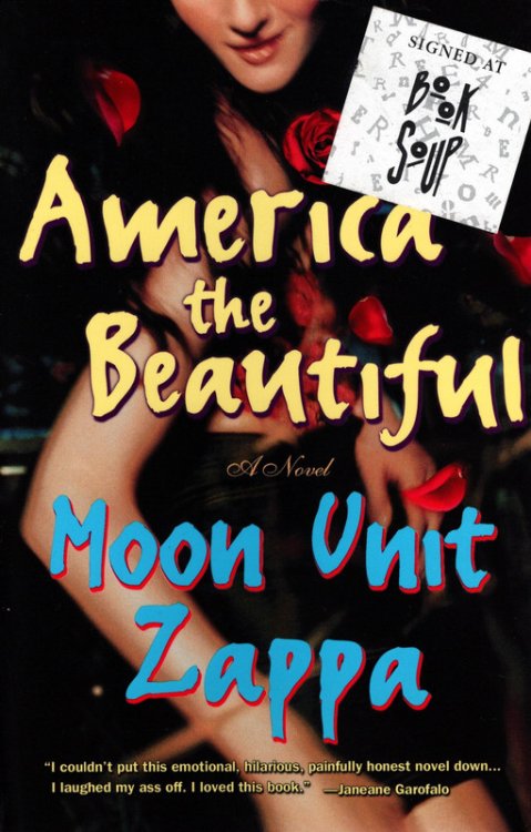 America the Beautiful: A Novel