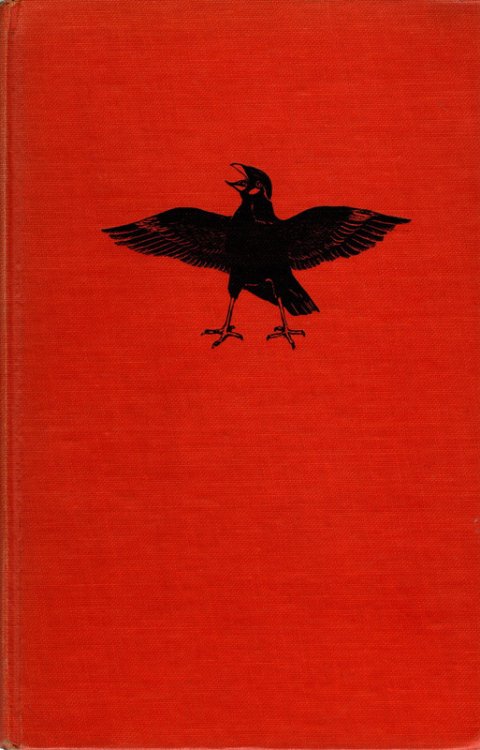 Raff, The Jungle Bird