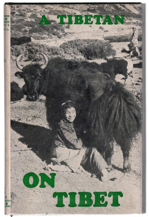A Tibetan on Tibet