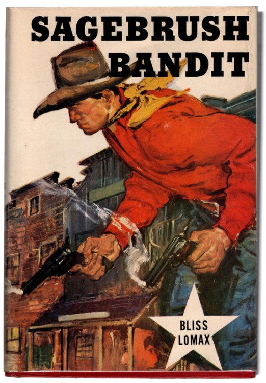 Sagebrush Bandit