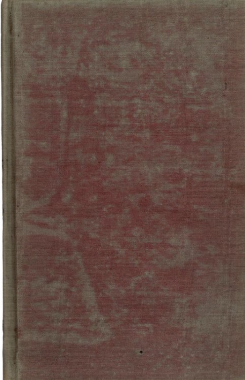 The Sakta Pithas
