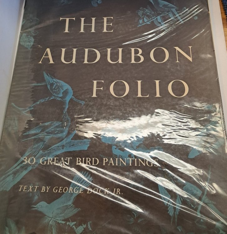 The Audubon Folio