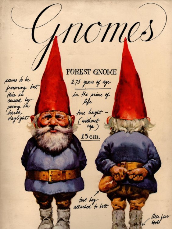 Gnomes