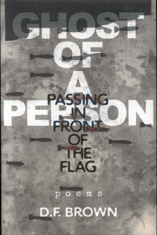 Ghost of a Person Passing in Front of the Flag: Poems