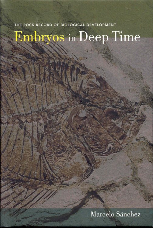 Embryos in Deep Time: The Rock Record of Biological Development