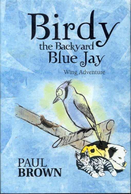 Birdy the Backyard Blue Jay: Wing Adventure