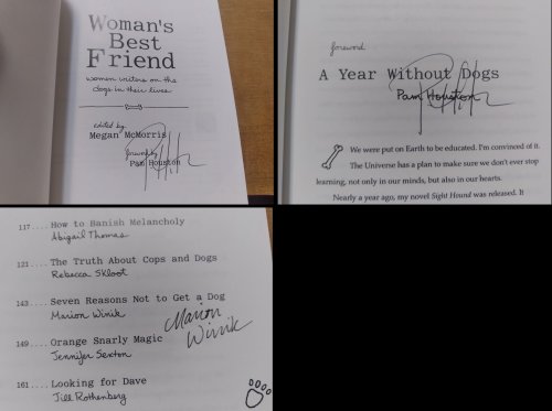 Woman's Best Friend: Women Writers on the Dogs in Their Lives