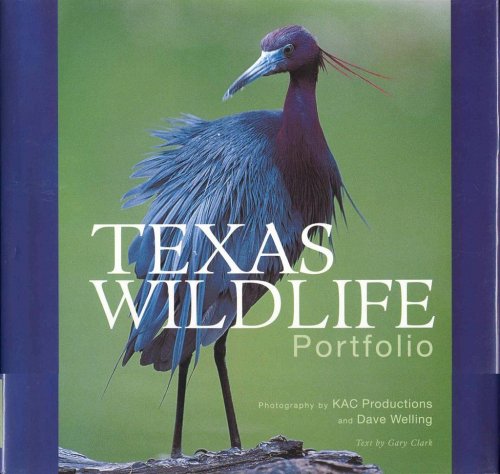 Texas Wildlife Portfolio
