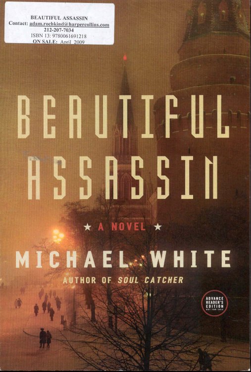 Beautiful Assassin