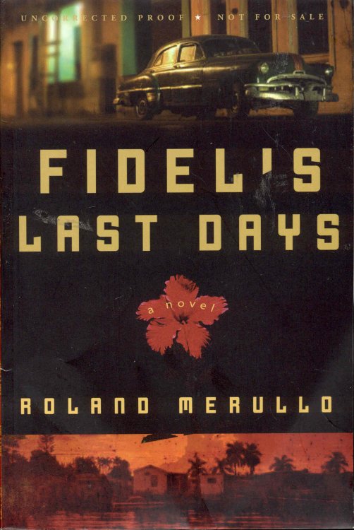 Fidel's Last Days
