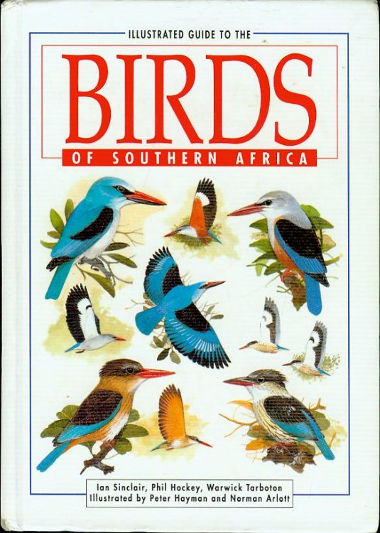 Illustrated Guide to the Birds of Southern Africa