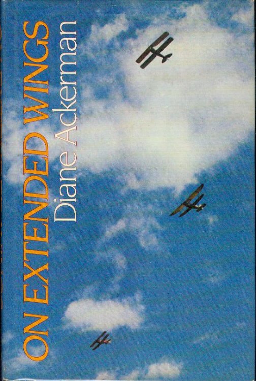 On Extended Wings