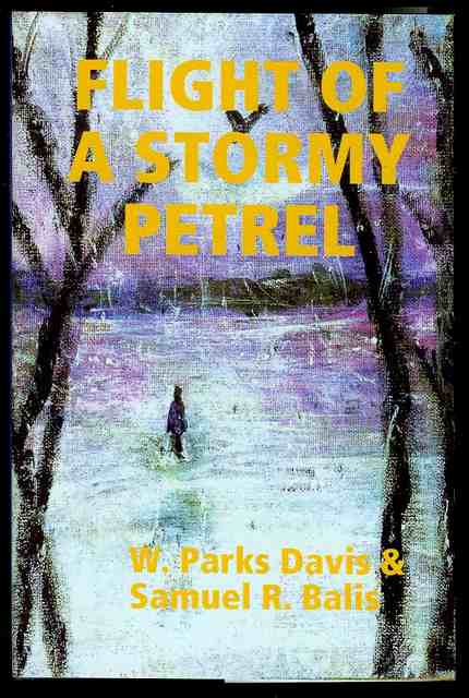 Flight of a Stormy Petrel