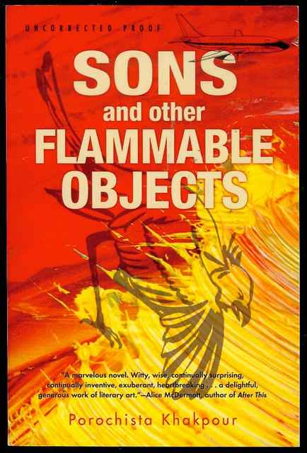 Sons and Other Flammable Objects