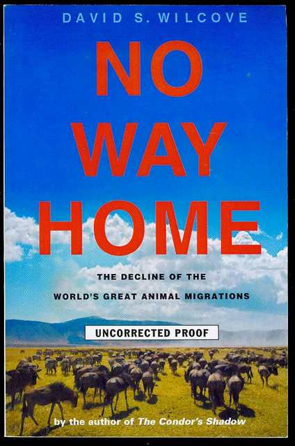 No Way Home: The Decline of the World's Great Animal Migrations