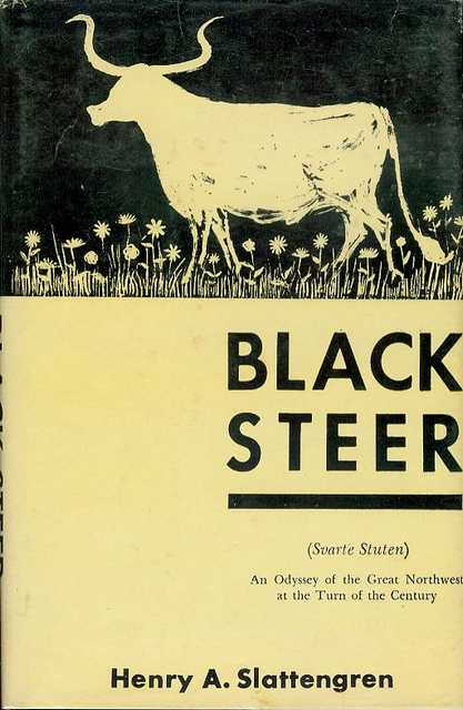 Black Steer