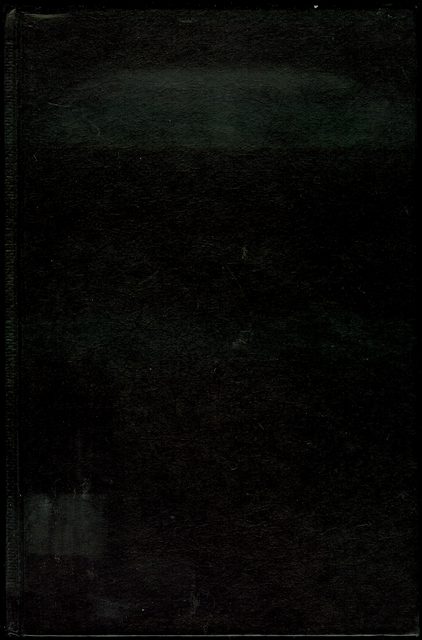 The New Class Society