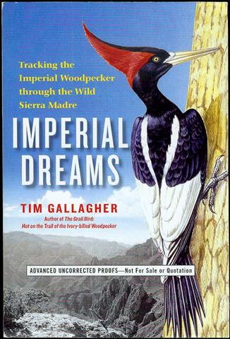 Imperial Dreams: Tracking the Imperial Woodpecker Through the Wild Sierra Madre