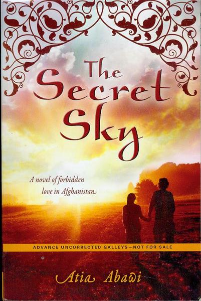 The Secret Sky