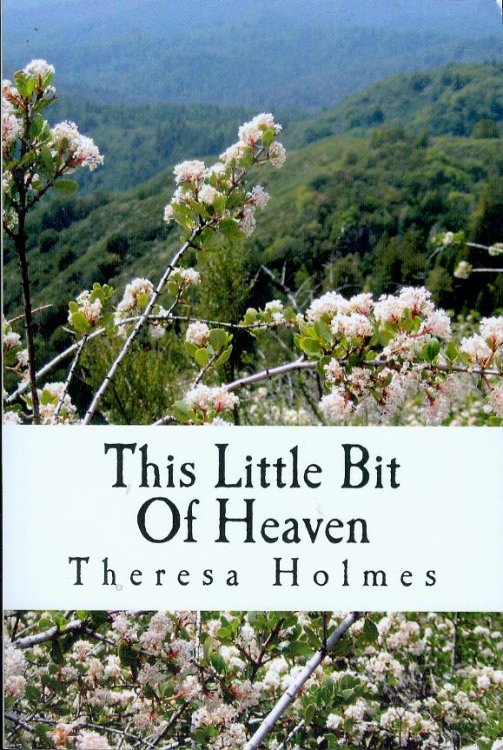 This Little Bit Of Heaven (Starfield Valley Tales, Book One)