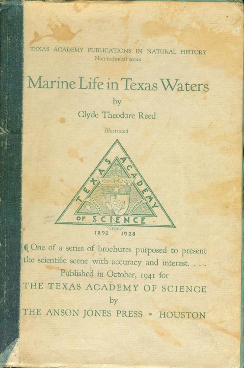 Marine Life In Texas Waters