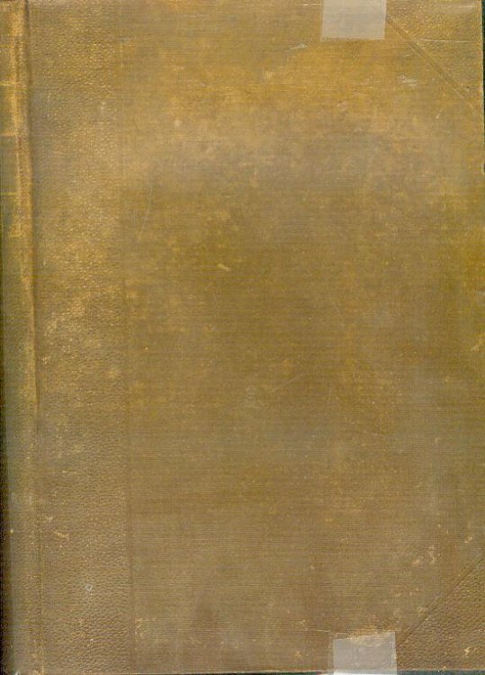 Little Dorrit / The Adventures of Oliver Twist