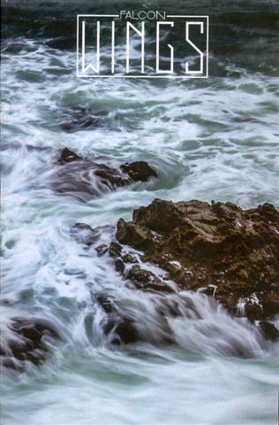 Falcon Wings 2016 (Volume 61)