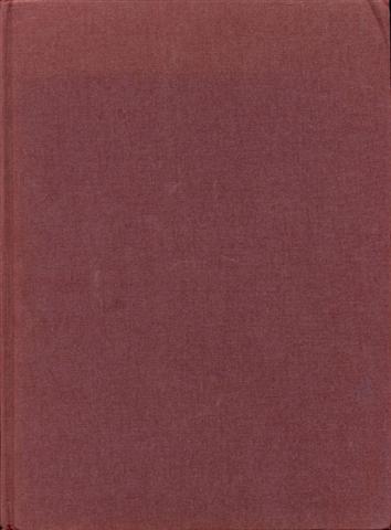 The Great Fire: Chicago 1871