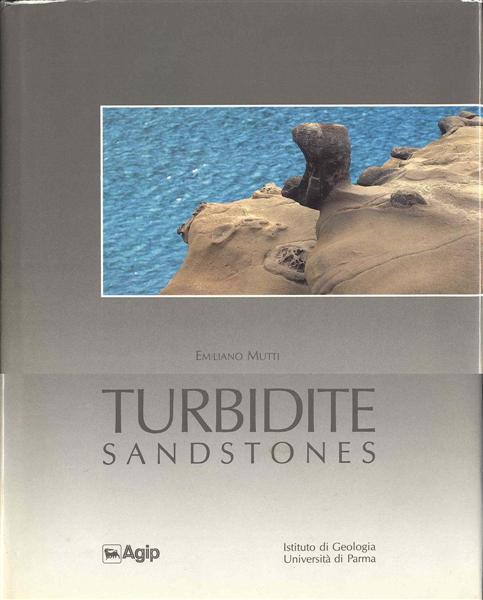 Turbidite Sandstones