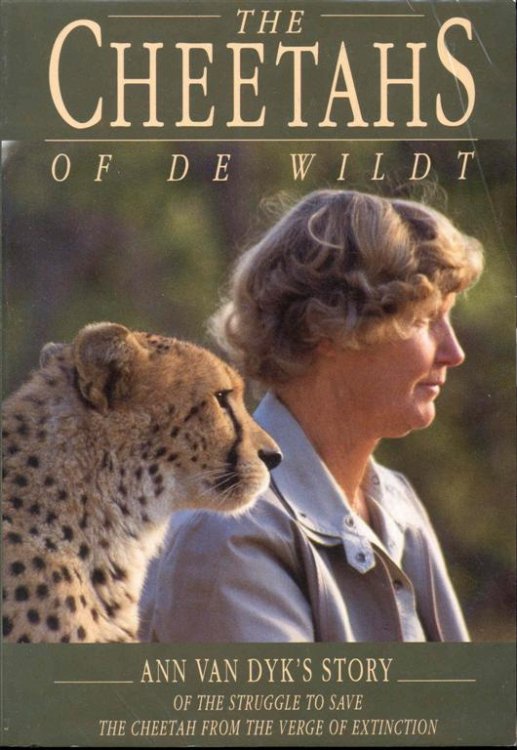 The Cheetahs of de Wildt