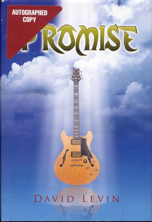 Image for Promise Promise