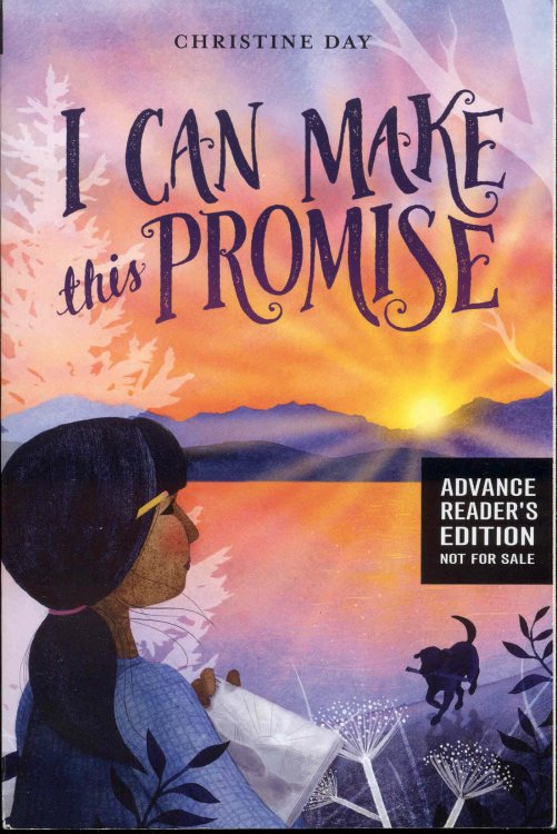 I Can Make This Promise