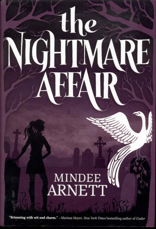 The Nightmare Affair