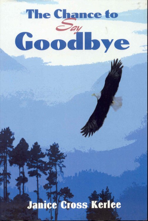 The Chance to Say Goodbye