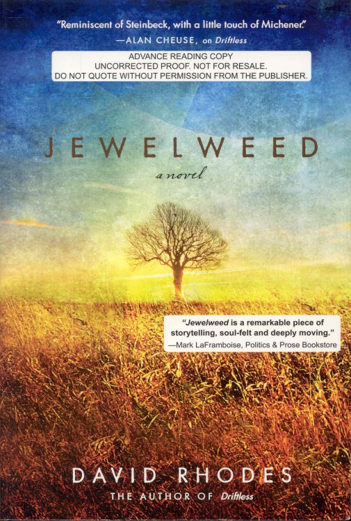 Jewelweed
