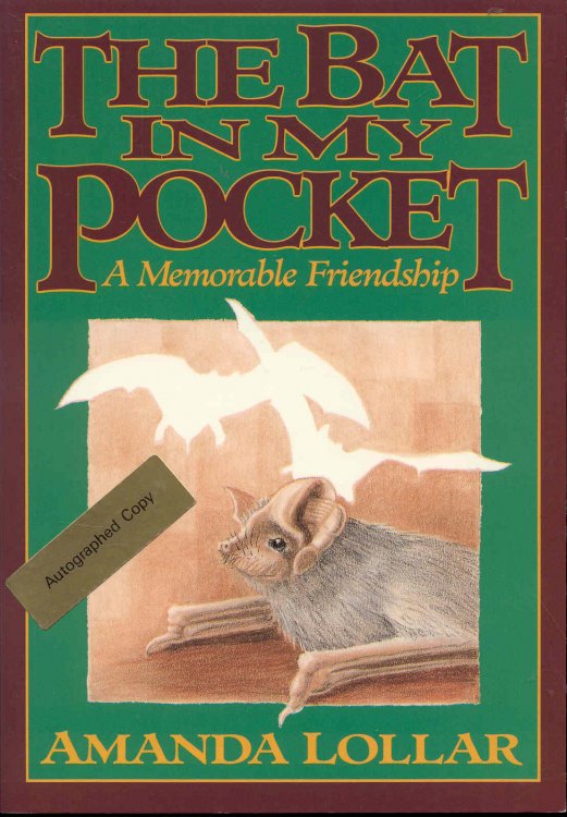 The Bat in My Pocket: A Memorable Friendship