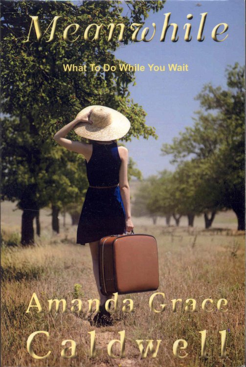 Meanwhile: What To Do While You Wait