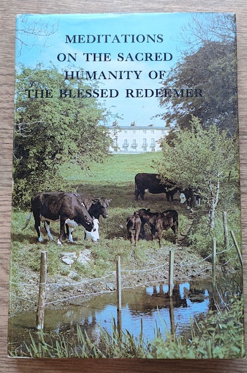 Meditations on the Sacred Humanity of the Blessed Redeemer: New Series Vol 1