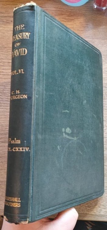 The Treasury of David: Volume 6: Psalm 119 to 124