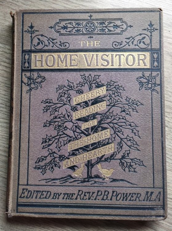 The Home Visitor and District Companion: An Illustrated Magazine: New Series: Vol IV: 1877
