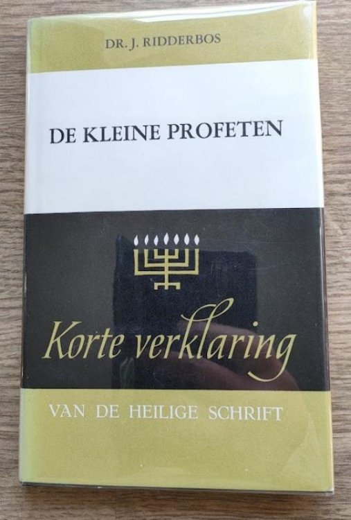 De Kleine Profeten: Opnieuw Uit de Grondtekst Vertaald en Verklaard: Deel 2: Obadja - Zefanja (Korte Verklaring)