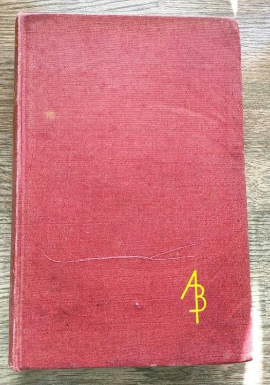 Luther (Academy Books)