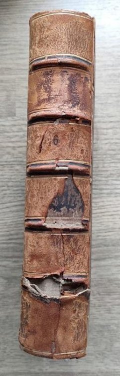 Hours with the Bible; or, the Scriptures in the Light of Modern Discovery and Knowledge: Volume 6: From the Exile to Malachi, with the Contemporary Prophets