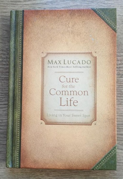 Cure for the Common Life: Living in Your Sweet Spot