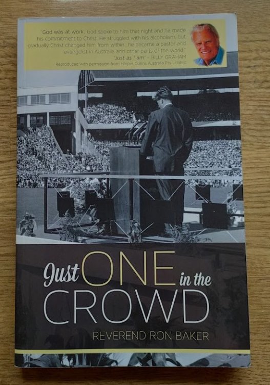 Just One in the Crowd