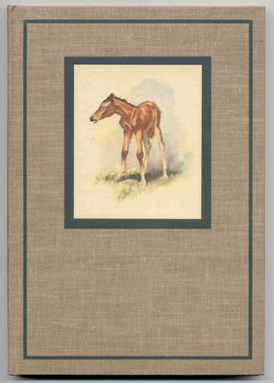 Red Pony, The