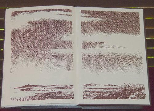 Wonderful Country, The