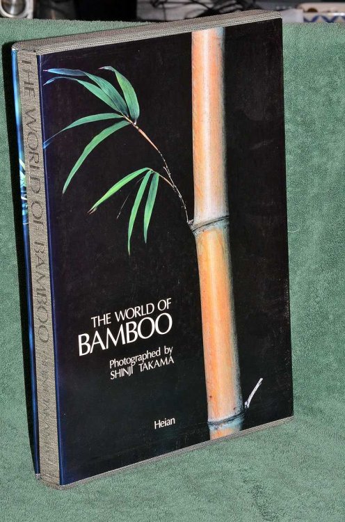 The World of Bamboo