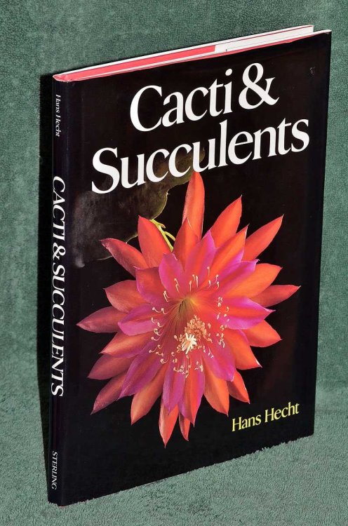 Cacti & Succulents