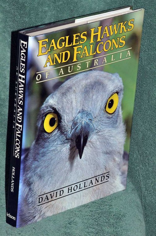 Eagles Hawks And Falcons Of Australia